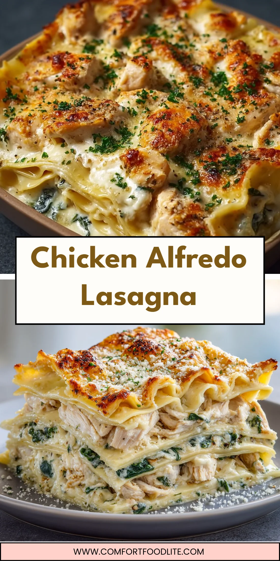Chicken Alfredo Lasagna