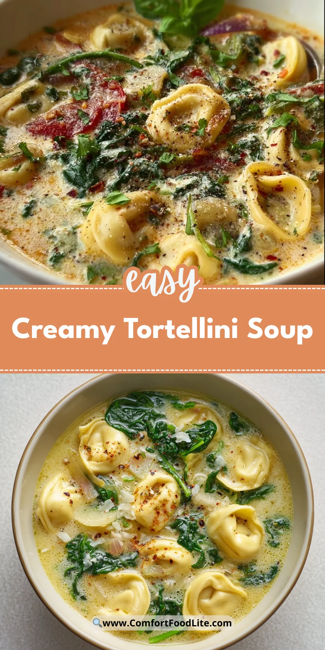 Creamy Tortellini Soup