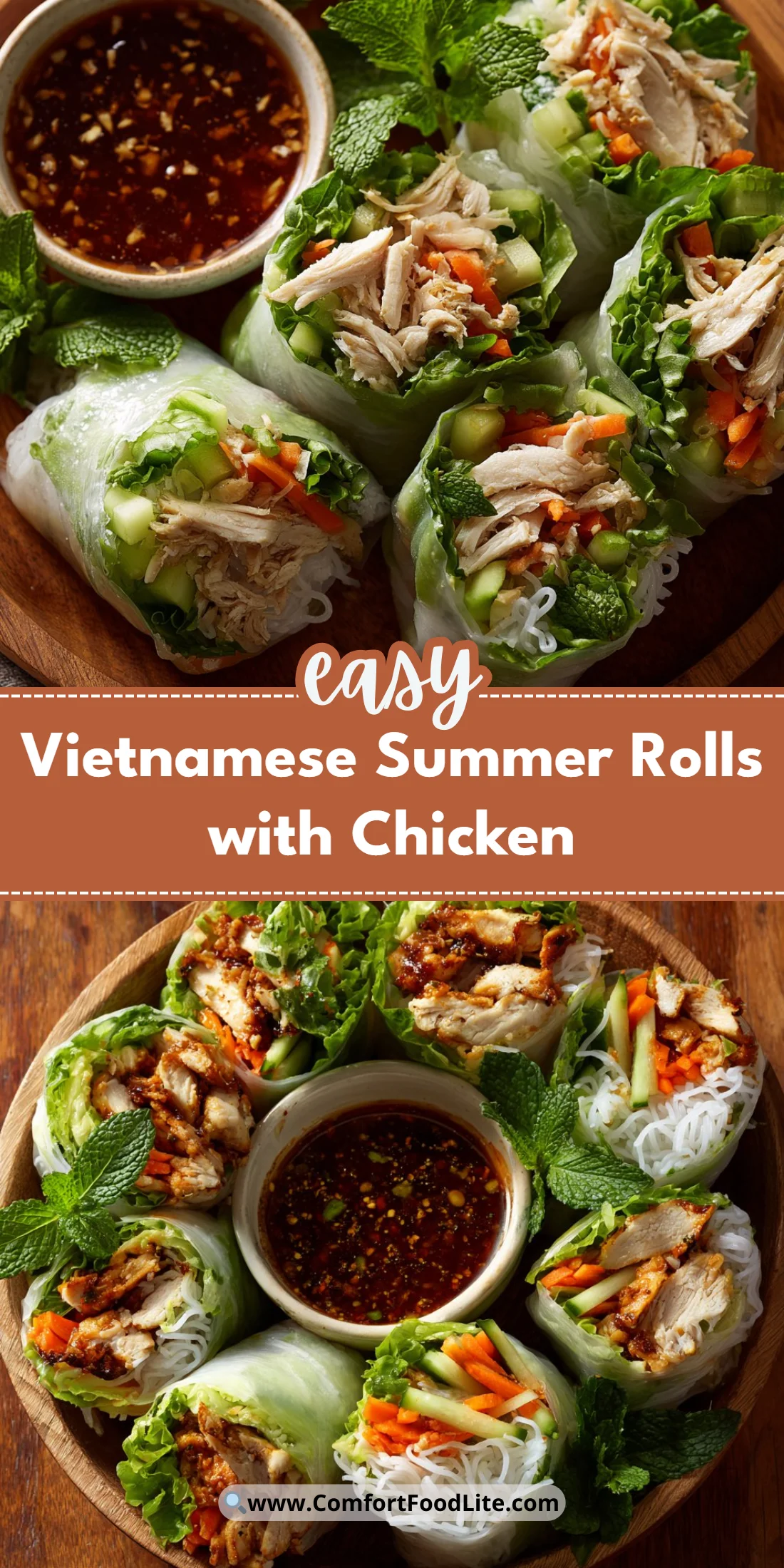 Vietnamese Summer Rolls with Chicken